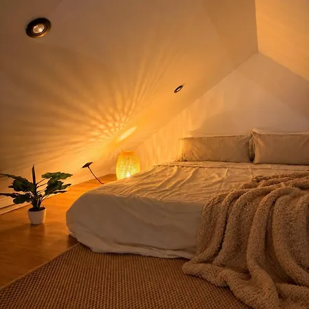 Penthouse In Center *