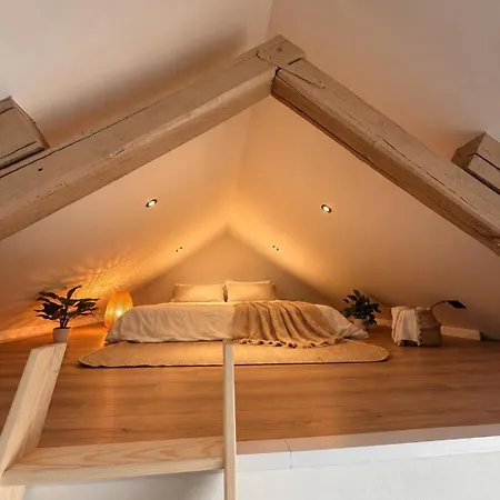 Apartamento Penthouse In Center